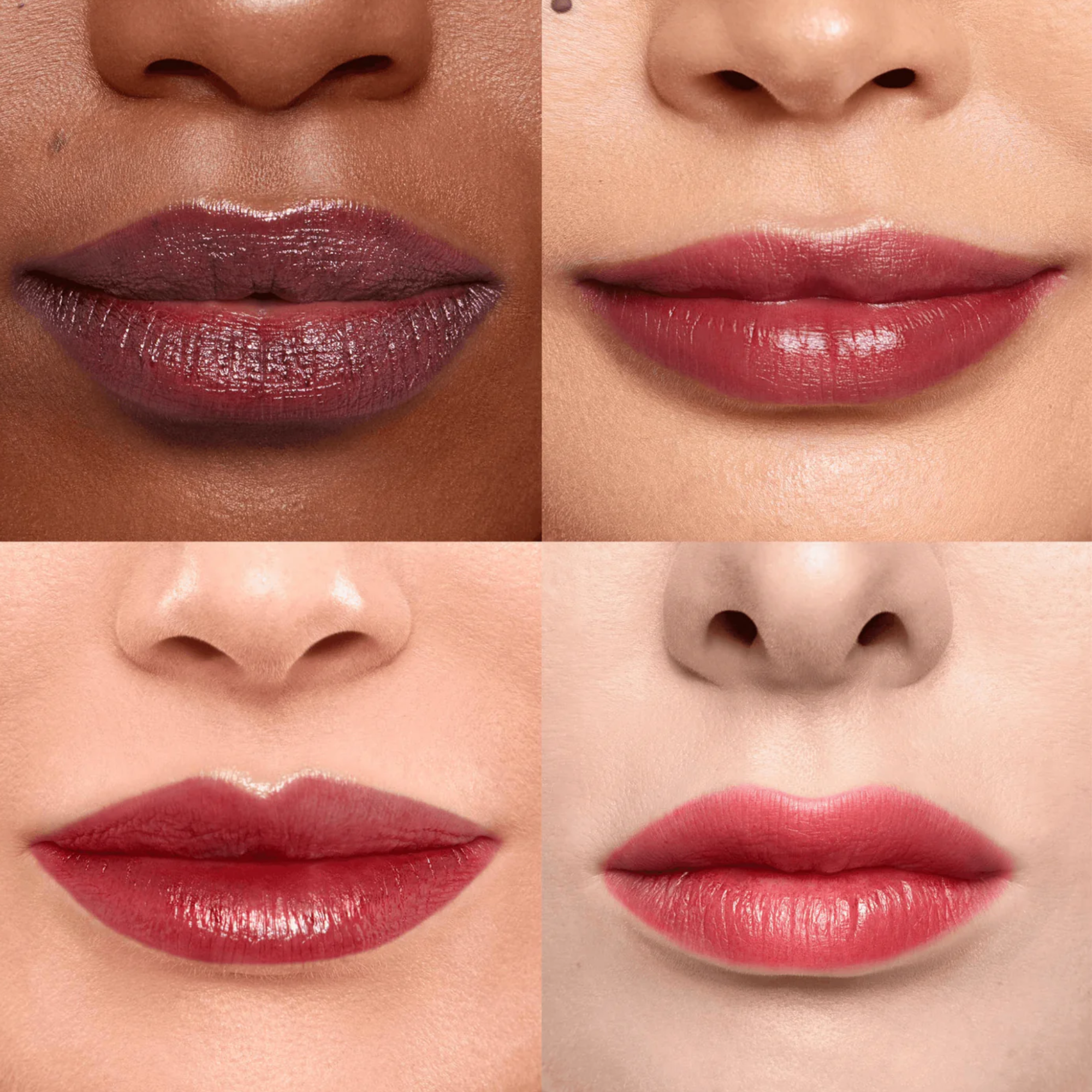 Wonderskin long lasting Lip Stain - whimsical